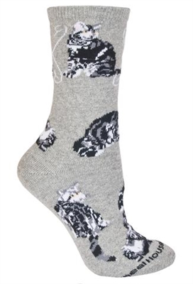 Silver Tabby Cat  Novelty Socks SaltyPaws.com