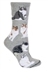 Ragamuffin Cat  Novelty Socks SaltyPaws.com