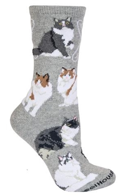 Ragamuffin Cat  Novelty Socks SaltyPaws.com