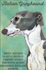 Italian Greyhound Gray and White Artistic Fridge Magnet SaltyPaws.com