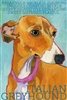 Italian Greyhound Brown and White Artistic Fridge Magnet SaltyPaws.com