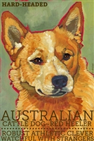 Australian Cattle Dog Red Heeler Artistic Fridge Magnet SaltyPaws.com