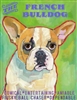 French Bulldog Cream Artistic Fridge Magnet SaltyPaws.com
