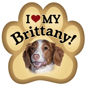 Brittany Paw Magnet for Car or Fridge