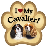 Cavalier Paw Magnet for Car or Fridge
