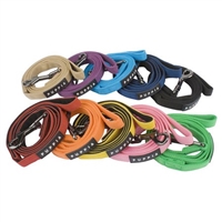 Two-Tone 4' Lead SaltyPaws.com