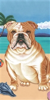 English Bulldog Beach Towel www.SaltyPaws.com