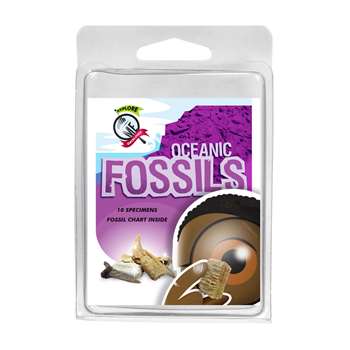Explore With Me Oceanic Fossils, AEP2968