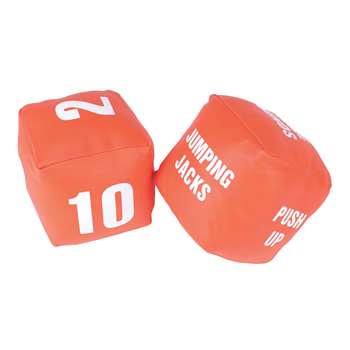 Fitness Dice By American Educational