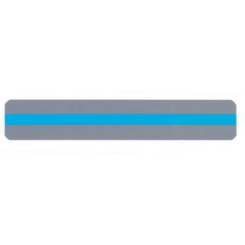 12 Pack Blue Reading Strip, ASH10851