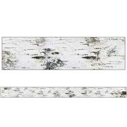 Birch Tree Straight Borders Woodland Whimsy, CD-108366