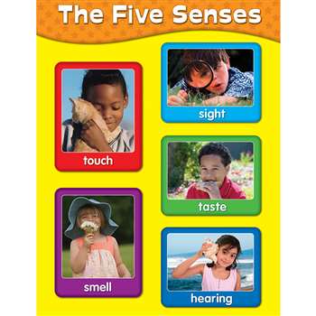 Chartlets The Five Senses By Carson Dellosa