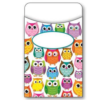 Colorful Owls Library Pockets, CD-121011