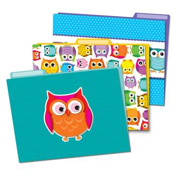 Colorful Owls Folders, CD-136009