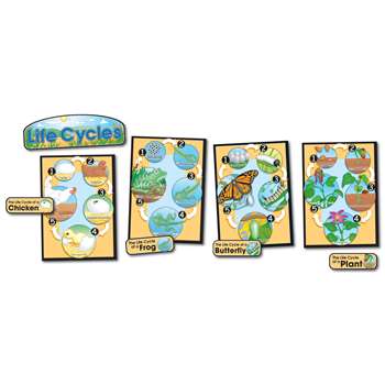 Bb Set Life Cycles Gr 1-8 Butterfly Chick/Frog/Plant By Carson Dellosa