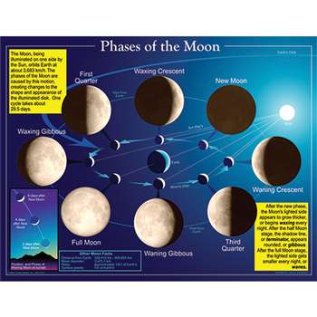 Chartlet Phases Of The Moon By Carson Dellosa