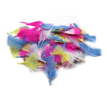 Turkey Feathers Spring Colors 14G Bag, CHL63040