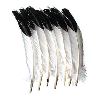 Imitation Eagle Feathers By Chenille Kraft