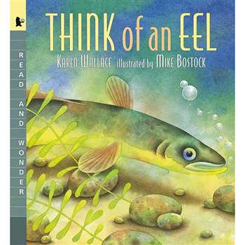 Think Of An Eel Big Book By Candlewick