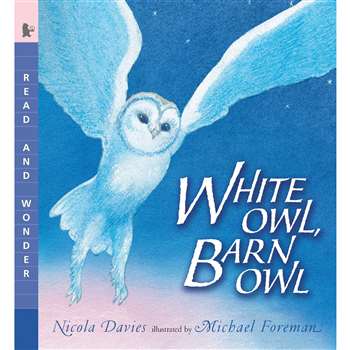 White Owl Barn Owl By Candlewick