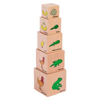 Lifecycle Wooden Blocks Set Of 5, CTUFF466
