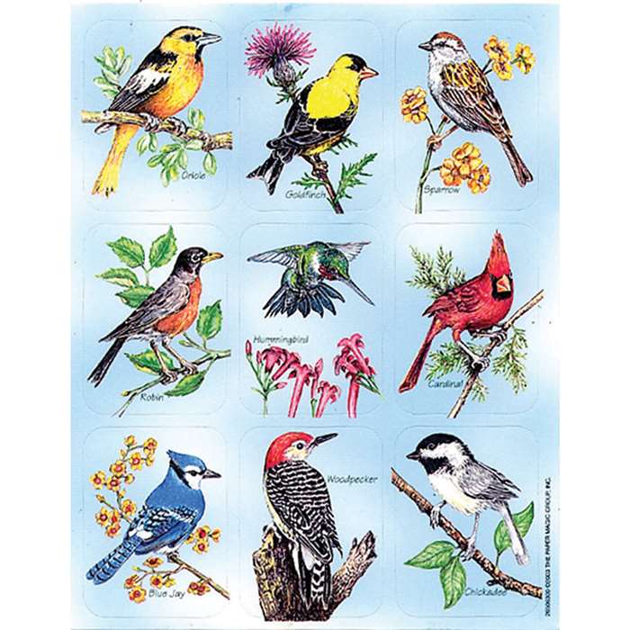 Birds Giant Stickers By Eureka