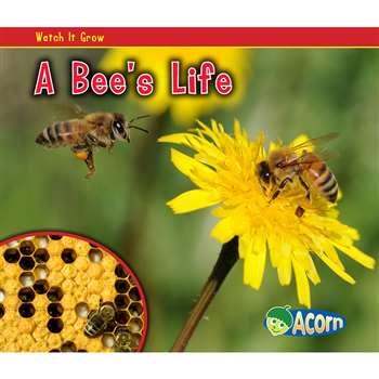 A Bees Life By Coughlan Publishing Capstone Publishing