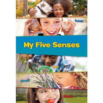 These Are My Senses Set Of All 5 Books, HE-9781484604359