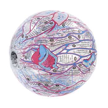 Human Anatomy Clever Catch Ball By American Educational