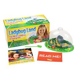 Ladybug Land By Insect Lore