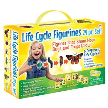 Life Cycle Figurines 24Pc Set, ILP2205