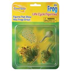 Frog Life Cycle Stages By Insect Lore