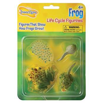 Frog Life Cycle Stages By Insect Lore