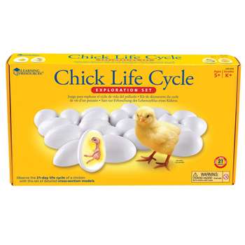 Chick Life Cycle Exploration Set By Learning Resources