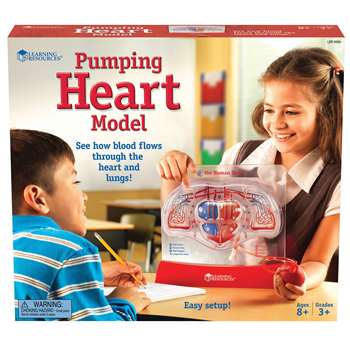 Pumping Heart Model By Learning Resources