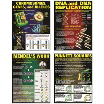 Dna & Heredity Poster Set By Mcdonald Publishing