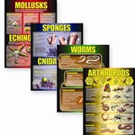 Invertebrates Poster Set By Mcdonald Publishing