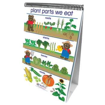 Flip Charts All About Plants Early Childhood Science Readiness By New Path Learning