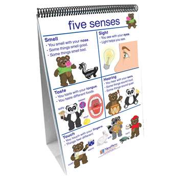 Flip Charts All About Me Early Childhood Science Readiness By New Path Learning