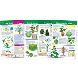 All About Plants Set Of 5, NP-943501