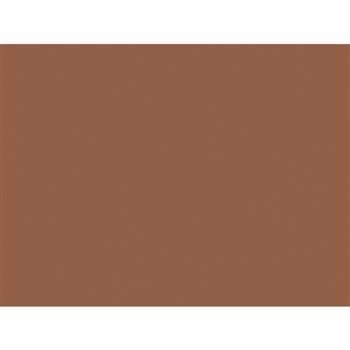 Shop Construction Paper Warm Brown 18X24 - Pac103089 By Pacon