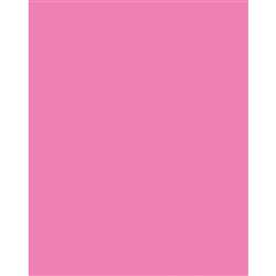 Poster Board Neon Pink 25/Ct, PAC54071