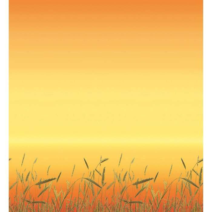 Fadeless Paper Design Prairie Grass 48X12 Sold 4/Carton By Pacon