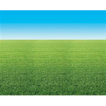 Fadeless 48X12 Summer Horizon 4Rls Per Carton By Pacon