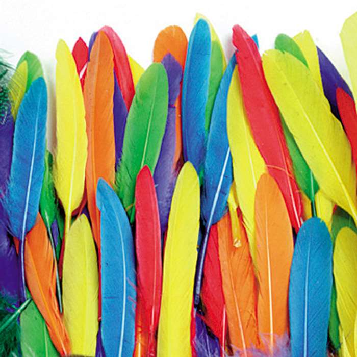 Duck Quills Assortment 3 Oz Bag, PACAC4507