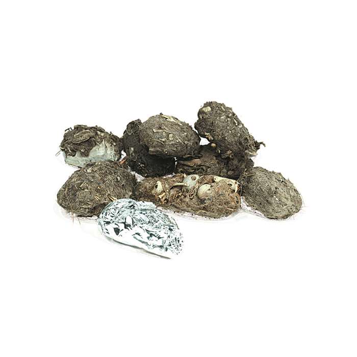 Perfect Pellet Large Barn Owl Pellets By Pellets