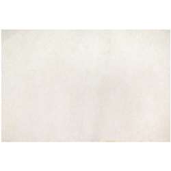 Color Diffusing Paper 12 X 18 50Sht By Roylco