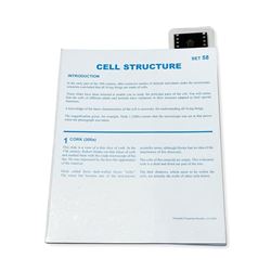 Microslide-Cell Structure, SKFT58