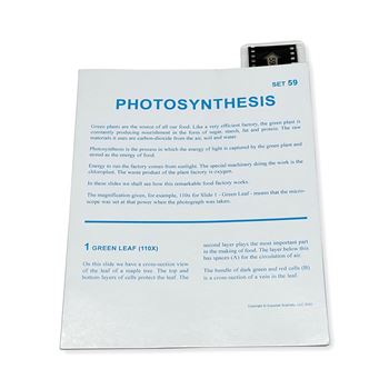 Microslide Photosynthesis, SKFT59
