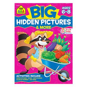 Big Hidden Pictures & More Workbook By School Zone Publishing